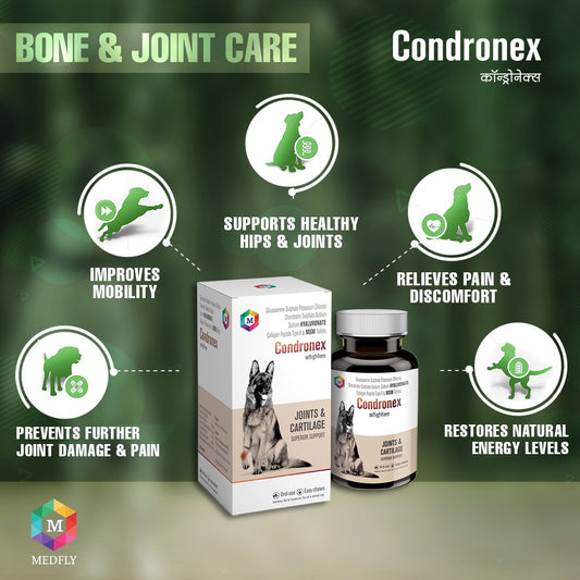 Condronex Pro Joint and Cartilage | Hip, Joints Supplement for Dogs & Cats | Suitable for All Breeds - 30 Tablets