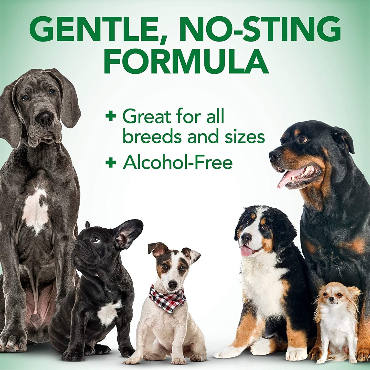 OtiShield Pro Natural Ear Cleanser for Dogs and Cats, Organic Aloe Formula, 50 ml