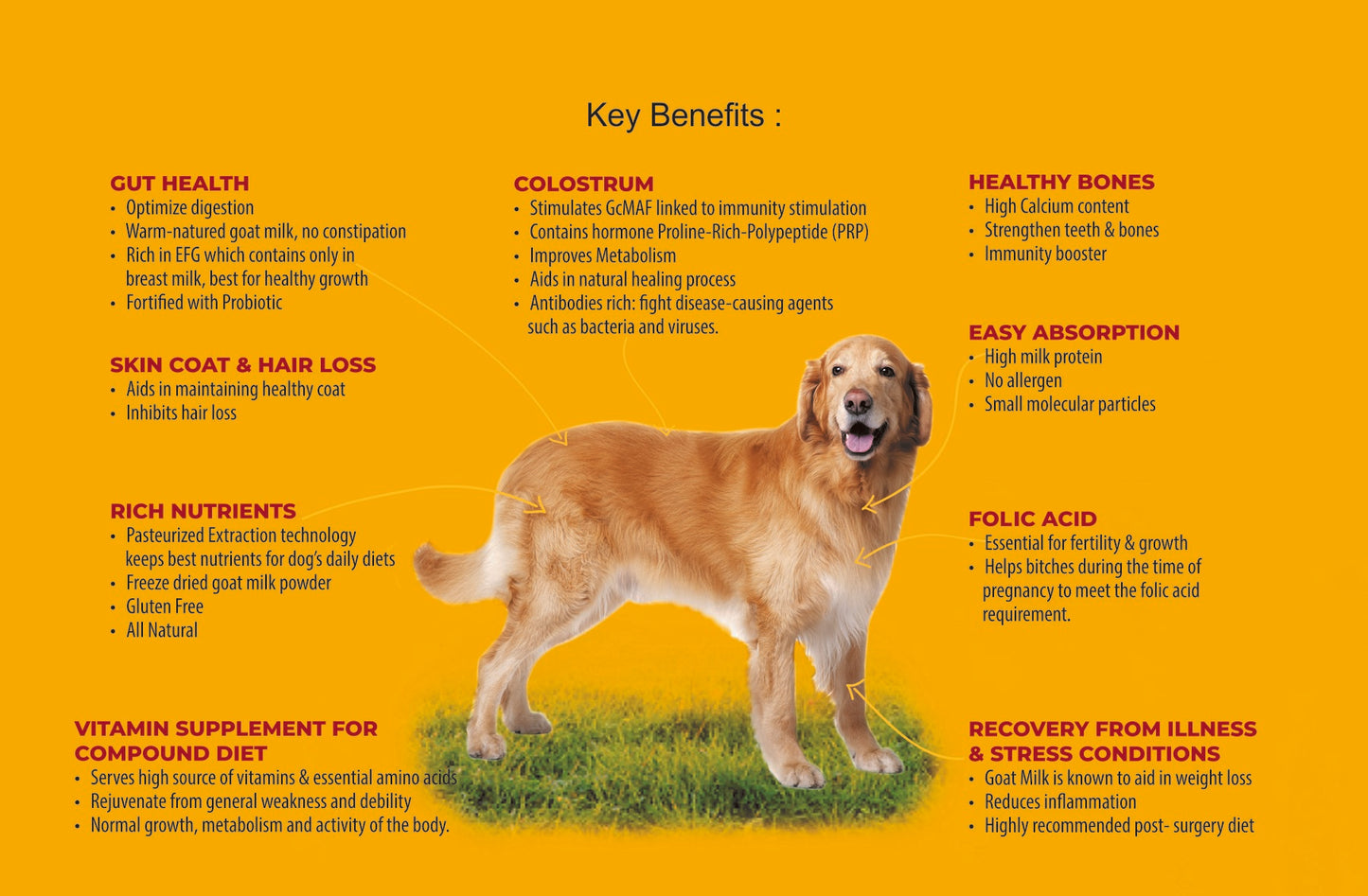 Goat Milk + Multivitamin + Colostrum (Immunity Booster) for Dogs | Essentials Vitamins & Minerals for Immunity Booster, Bones, Skin, Hair & Gut Health for Dogs - Pack of 15 Sachets