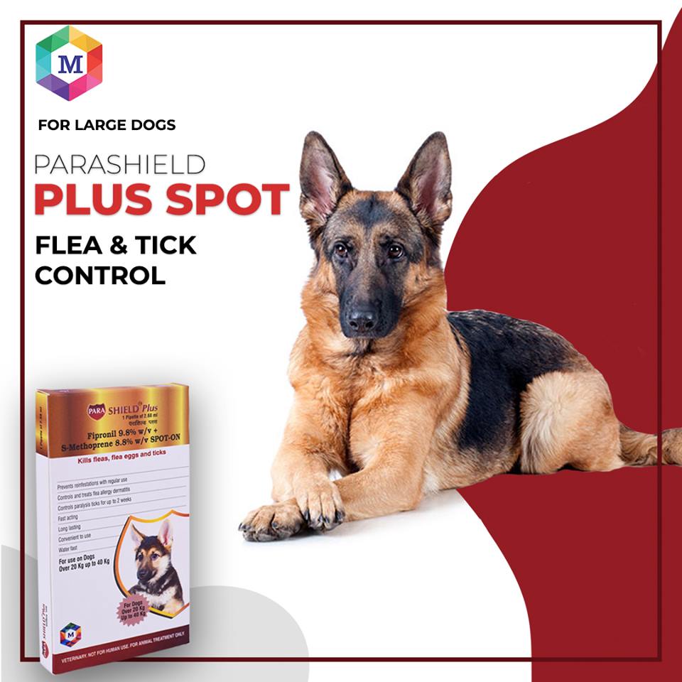 Parashield Plus Spot On Solution for Prevention & Treatment of Ticks, Fleas & Chewing Lice Infestation in Dogs (Over 20 kg up to 40 kg)