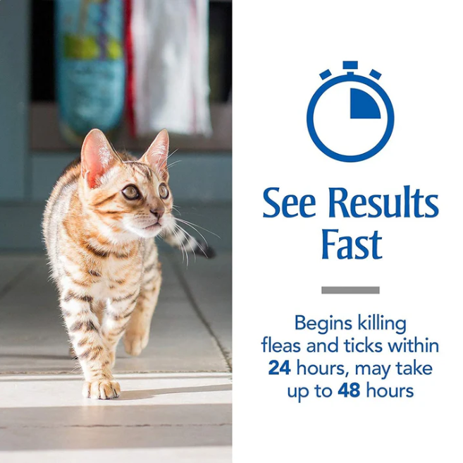 Spot On Treatment for Cats (Pack of 2) | Fipronil Formula for Effective Tick, Flea, and Lice Prevention | Keeps Cats and Kittens Healthy and Happy