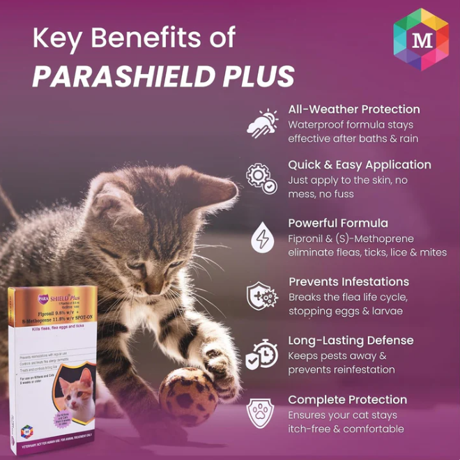 Spot On Treatment for Cats (Pack of 2) | Fipronil Formula for Effective Tick, Flea, and Lice Prevention | Keeps Cats and Kittens Healthy and Happy
