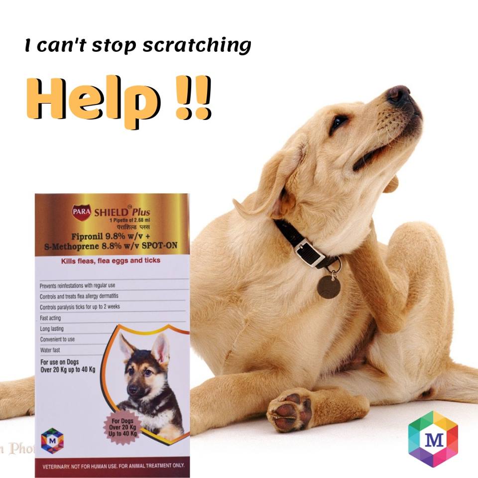 Parashield Plus Spot On Solution for Prevention & Treatment of Ticks, Fleas & Chewing Lice Infestation in Dogs (Over 20 kg up to 40 kg)